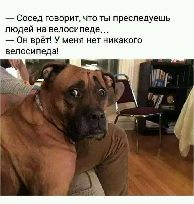 Щеночки звоночки