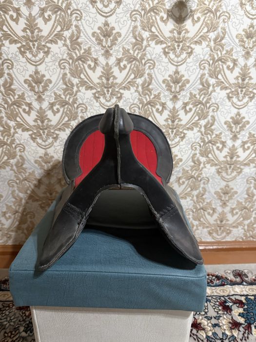 Отни босмайдигон ишонарли Эгар