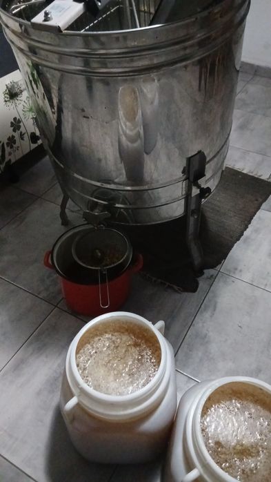 Miere albine angro