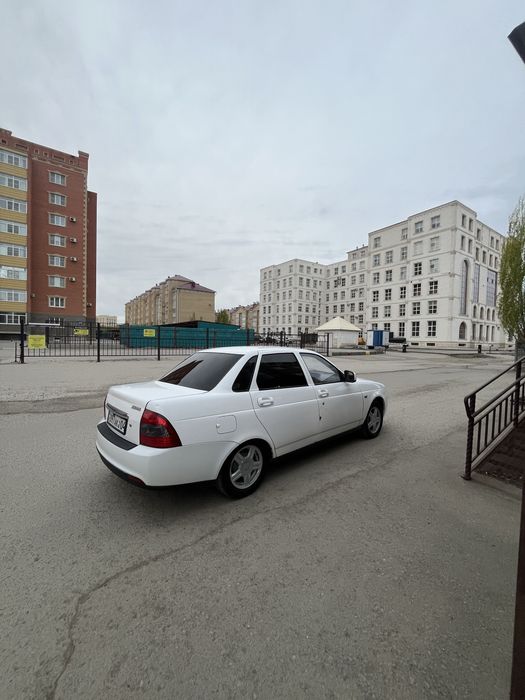 Торрусый Р14 летный сост идеал