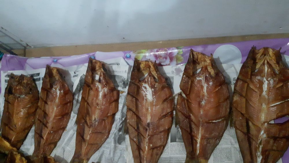 Капченный Толстолоб,Жерих