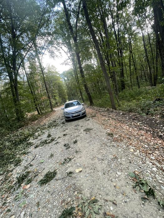 Pamant negru de padure mranita nisip piatra sparta