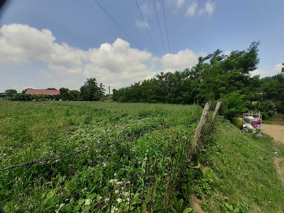 Vand  2 terenuri intravilane-loc de casa loc. Poiana Braesti Botosani