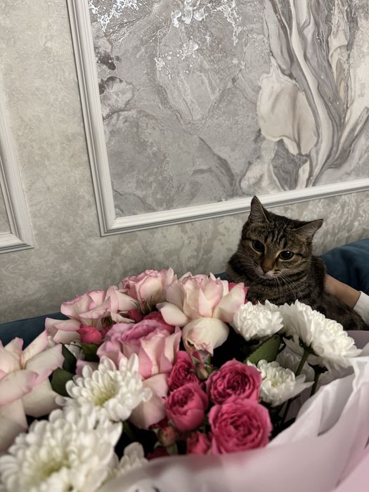 Отдаю в хорошую руку