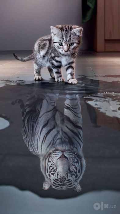 Фото обои 3д фото обои широкоформатная печать банерная сетка