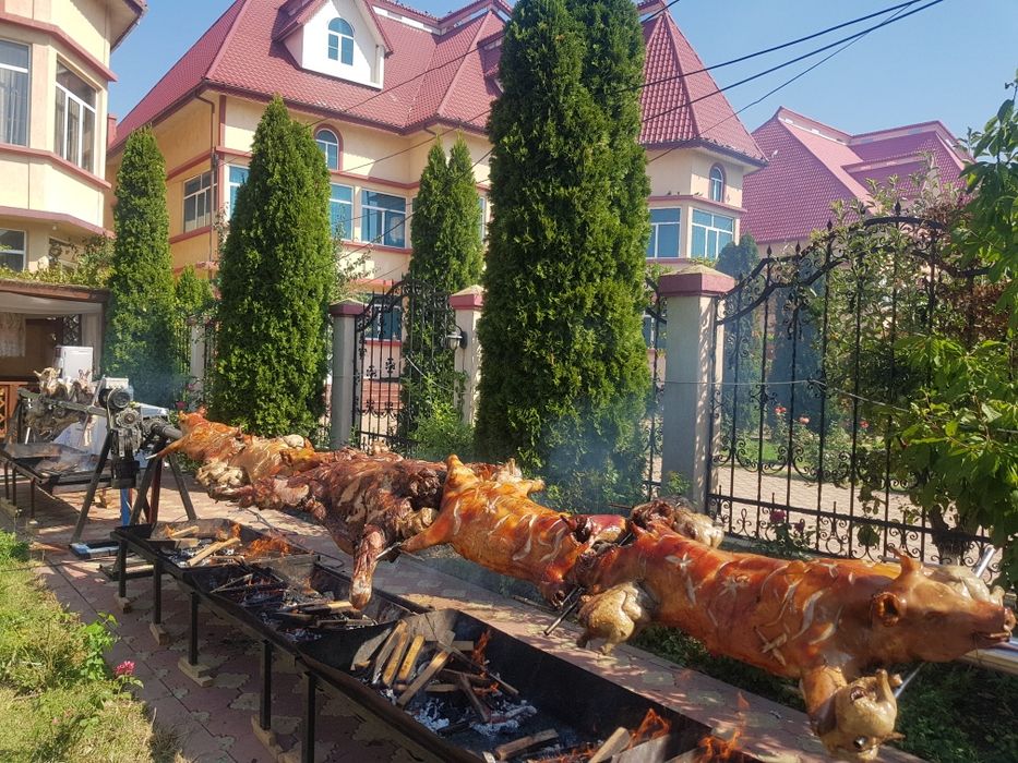 evenimente protap rotisor animale vitel miel purcel