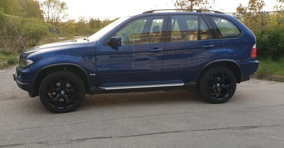 Usi stanga / Portiere stanga BMW X5 E53, 1999-2006