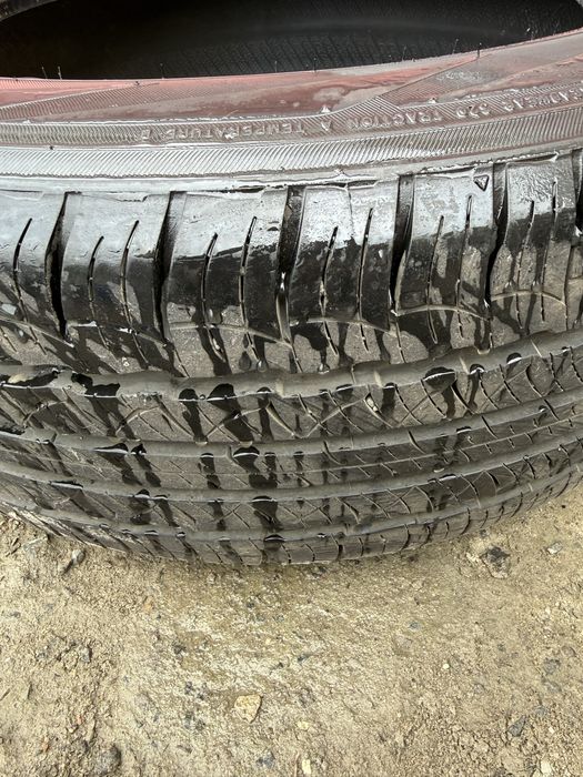 Шина все сезонка