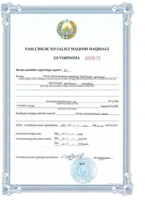 Qizil cho‘l zoti Красно-пёстрая (порода коров)