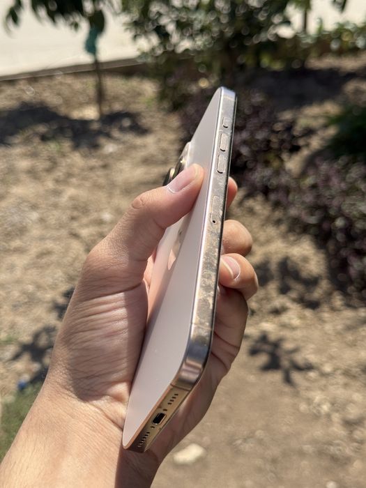 IPHONE 16 ProMax