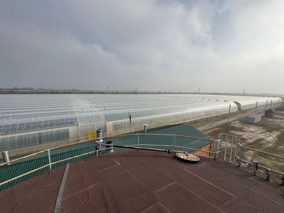 Теплица Сотилади 7га