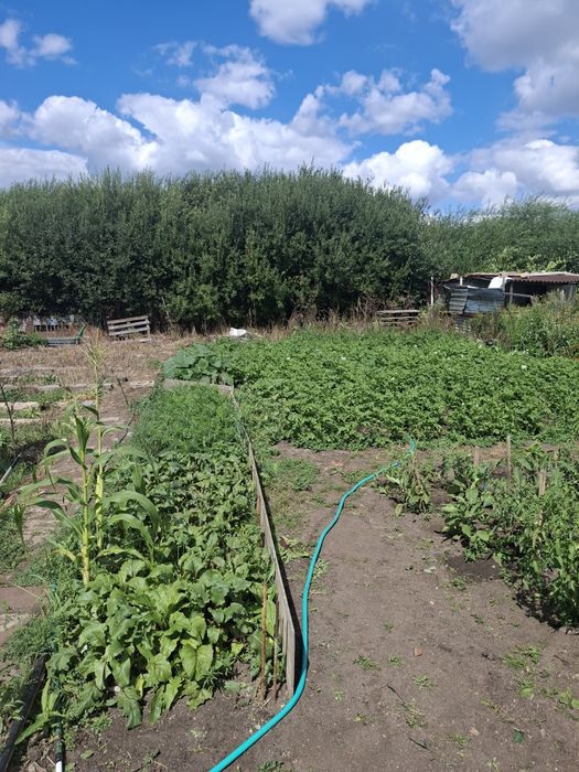 Продам Зерендинскую дачу