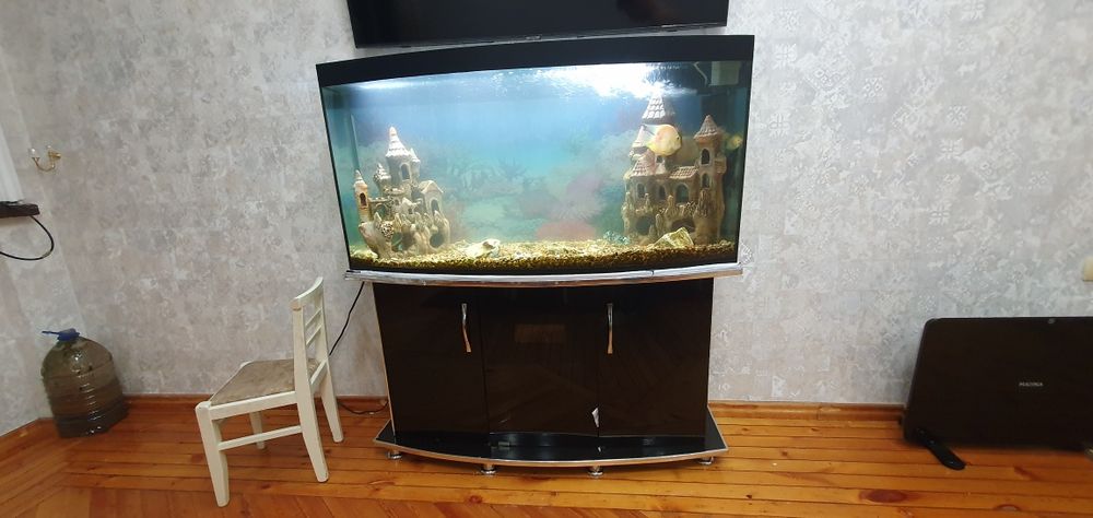 Прадайотся аквариум с рибами  размер 120×60×28 канплекте патставка