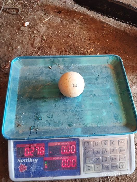 Billiard sharlari (ishlatilgan)