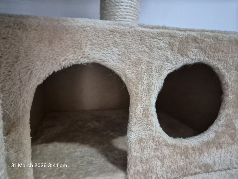 Ansamblu joacă pisici – ca nou