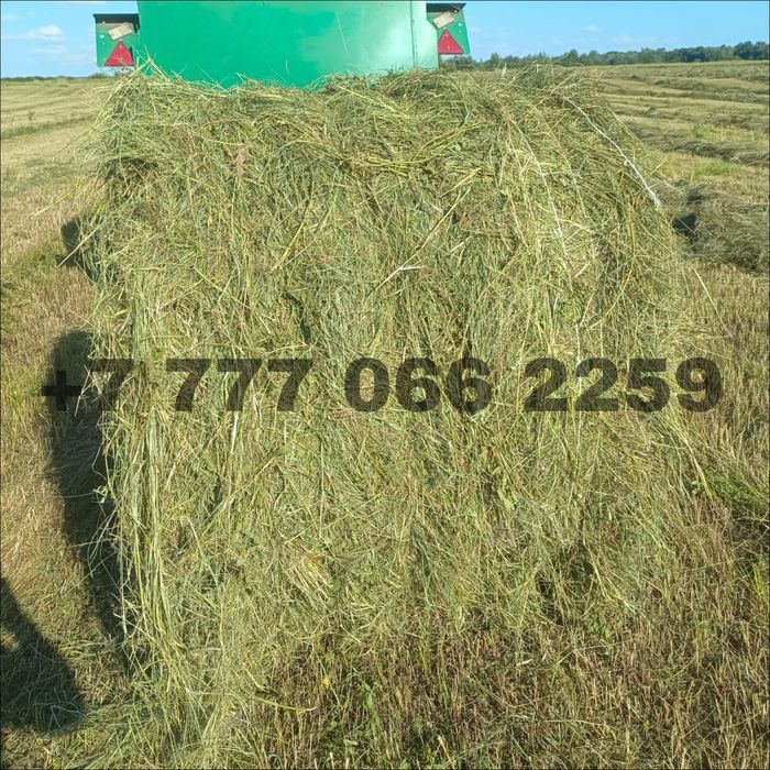Продам сено луговое