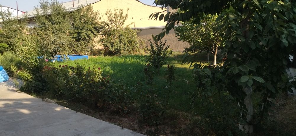 Колхоз Победа.10-соток.Продаётся срочно дом.