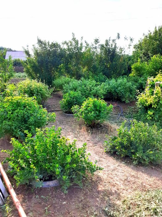 Дача продается/ Саяжай сатылады