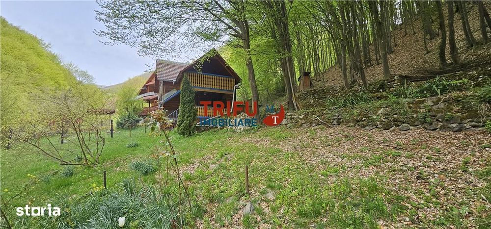Casă de vacanță la pădure | Teren 891 mp | Valea Ighielului