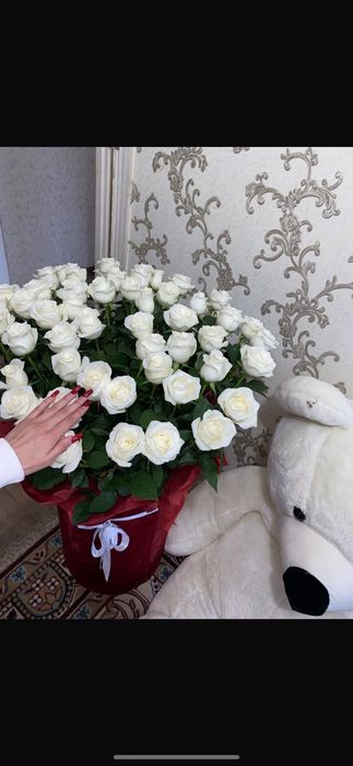 Большое розы 73 штук