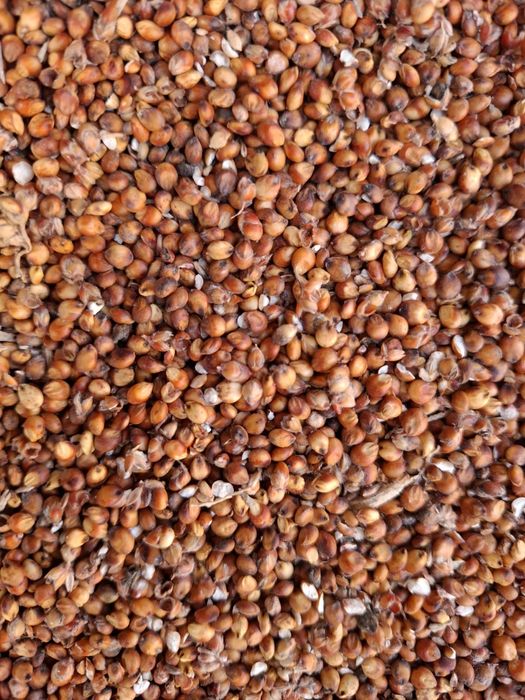 Vand SORG  .detalii la telefon