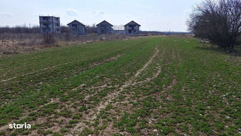 Teren intravilan Magurele langa padurea Cornetu si Arges