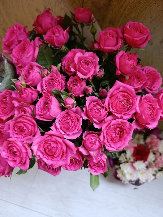 Продам цветы сегодняшние