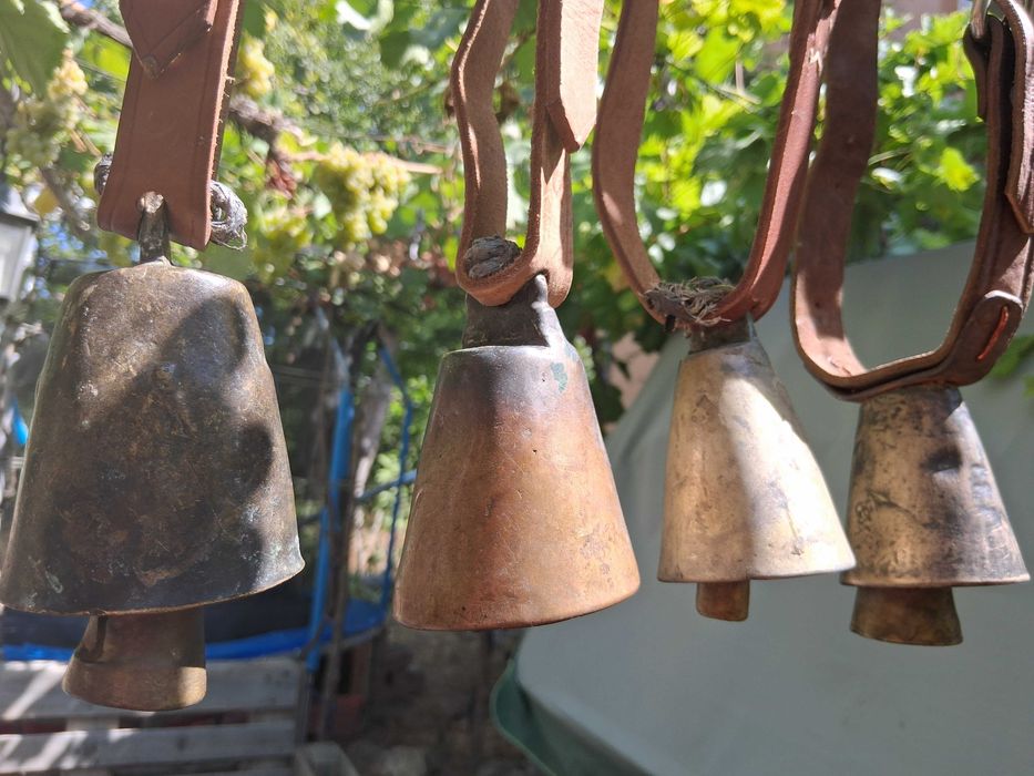 Звънци, Чан, Чанове