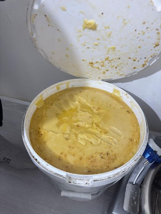 Сапалы бал тиімді бағамен