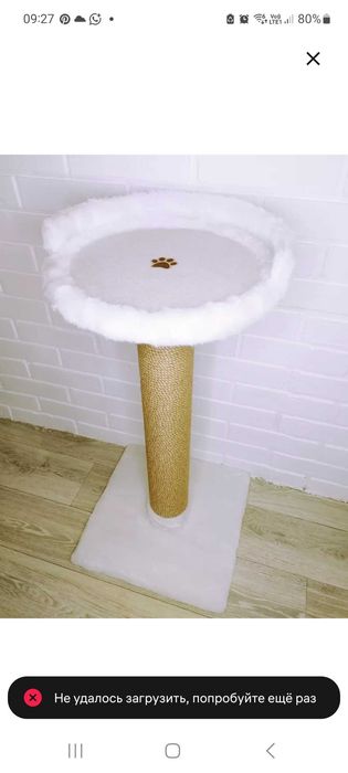 Отдам кошку в добрые руки