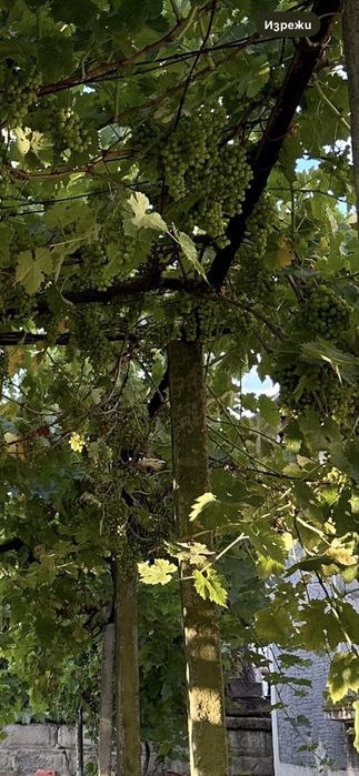 Продава се Къща в Бургас, Меден рудник - зона В - 100 кв.м за 450 €/кв.м - Снимка #7