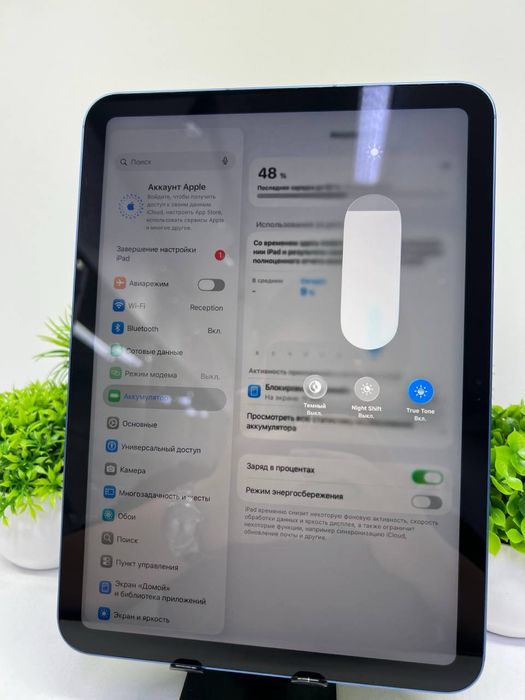 iPad 10-inch 256 Gb 2024