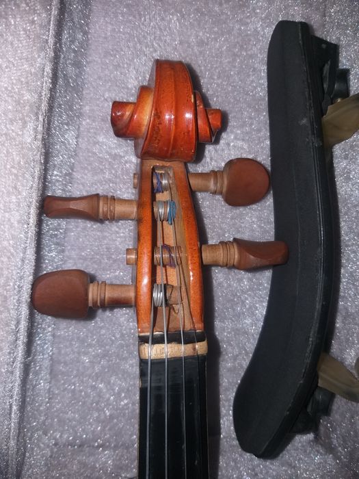 Mapple leafe Skripka 3/4