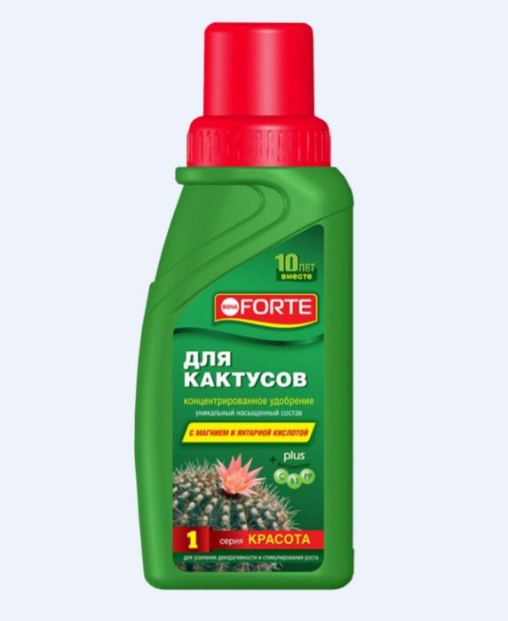 Bona forte бона форте