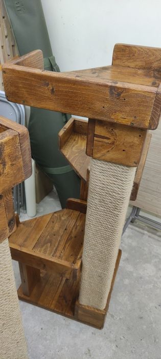 Котешка катерушка дърво