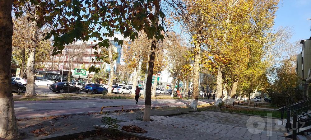 Bez makler o'zimniki uzoq muddatli arendaga quyaman.