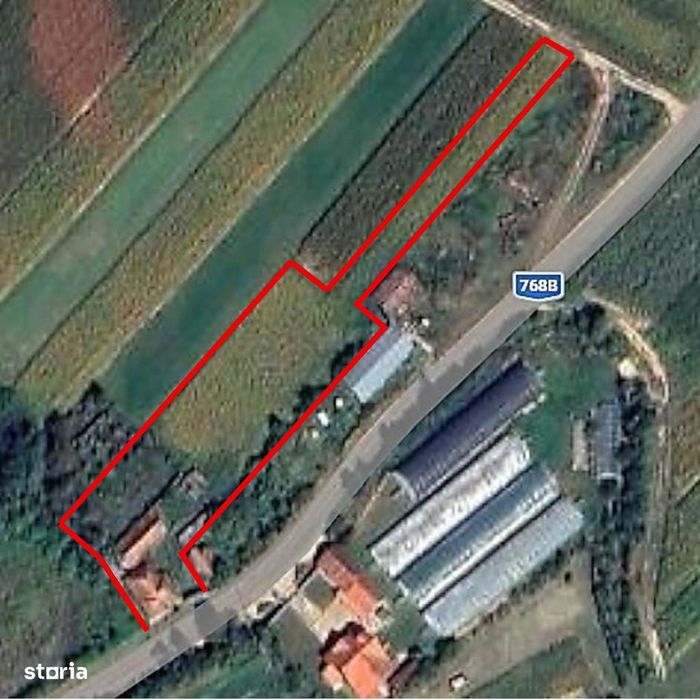 Casa la tara, gaz, acces auto, teren 4122 mp – Petid, Bihor