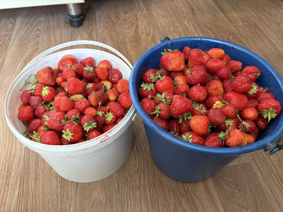 Продам 2 спареные дачи на 2 садах