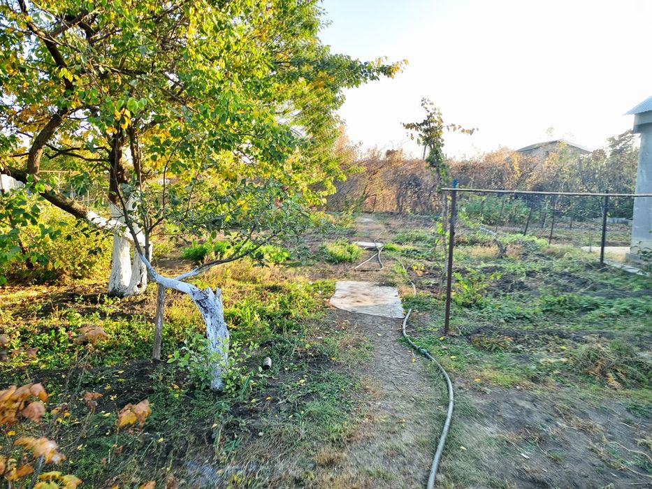 Дом в черте города