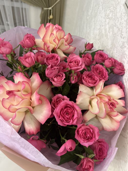 Розы нежный розовый