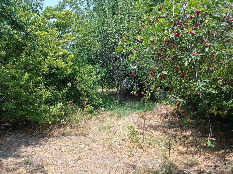 Дом продаётся. Продаётся дом. Продаю дом. Читайте подробнее!