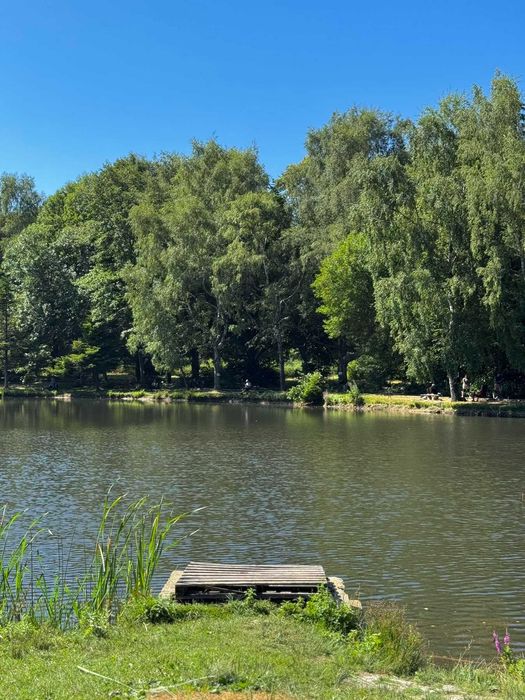 Продава се Двустаен апартамент в с. Панагюрски колонии, Област Пазарджик - 40 кв.м за 875 €/кв.м - Снимка #11