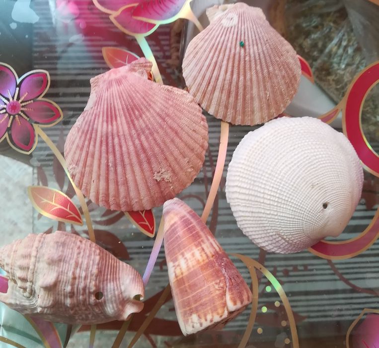 Аксессуар для аквариума-ракушки