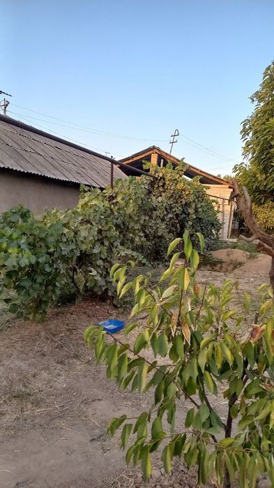 Yet arzonga tezda sotiladi