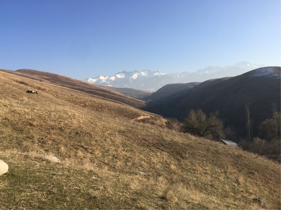 Продам фазенду 173га