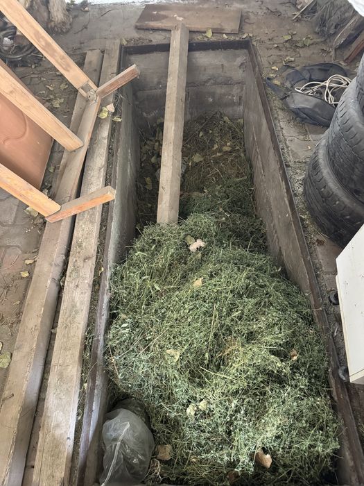 ECO   аренда бердеды