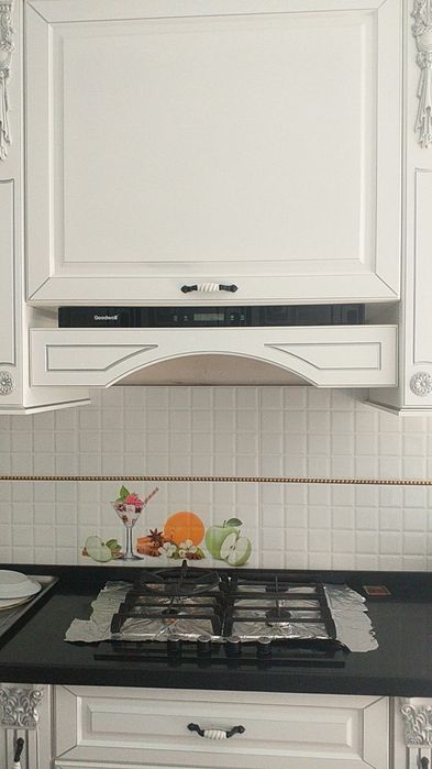 Качественный срочный  ремонт газовых плит, электр  духофка и  вытяжки