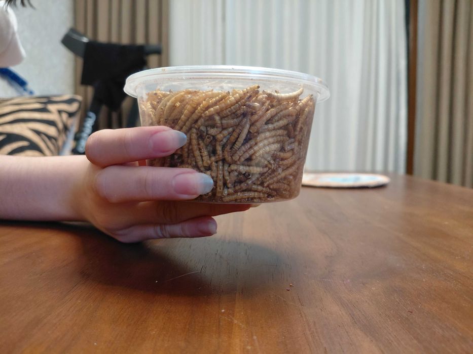 Сушеные личинки для рептилий и грызунов