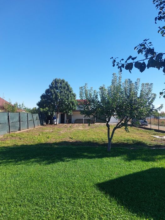 Afumați IF str Liliacului nr 11B - teren pt casă racordat la utilități