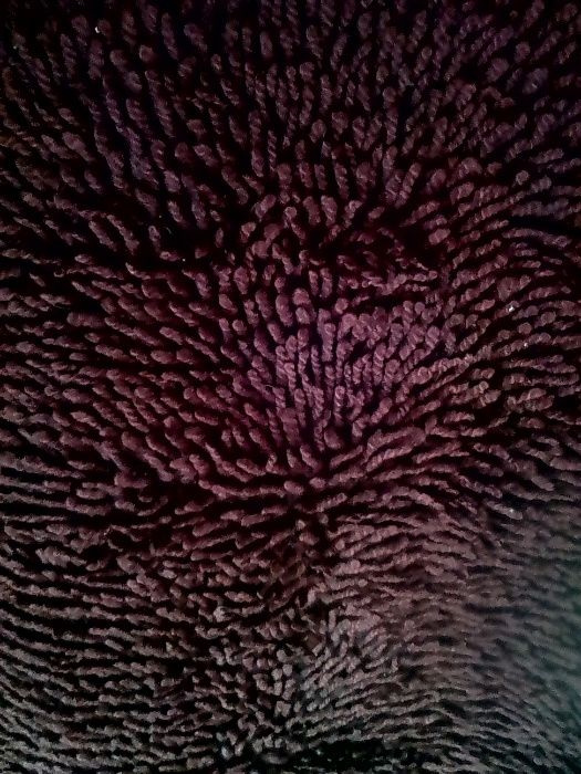 килимчета, черги